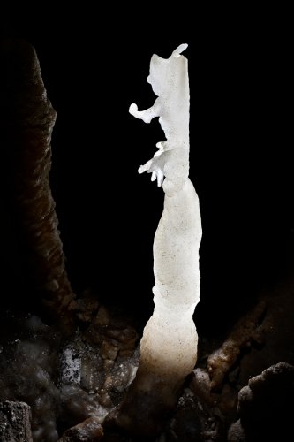 Grotte de la Fileuse de verre ou de la Devèze (Courniou, Hérault) - Stalagmite de la Fileuse de Verre(SP-25-0615 )